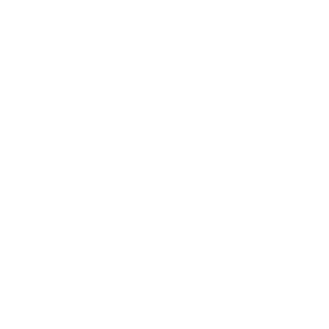 robotica icon